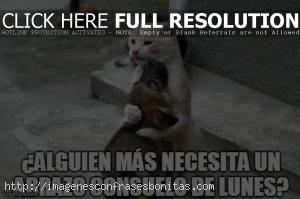 Mañana es Lunes Memes