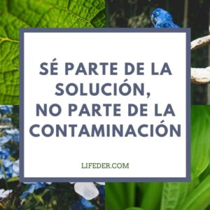 mensajes-para-la-proteccion-del-medio-ambiente-1 Frases para Proteger el Medio Ambiente