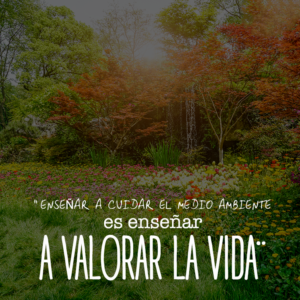 mensajes-para-la-proteccion-del-medio-ambiente-1 Frases para Proteger el Medio Ambiente