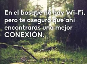 mensajes-para-la-proteccion-del-medio-ambiente-16 Frases para Proteger el Medio Ambiente