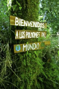 mensajes-para-la-proteccion-del-medio-ambiente-17 Frases para Proteger el Medio Ambiente