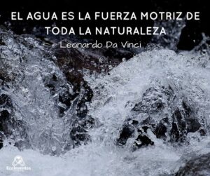 mensajes-para-la-proteccion-del-medio-ambiente-22 Frases para Proteger el Medio Ambiente