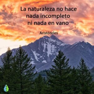 mensajes-para-la-proteccion-del-medio-ambiente-7 Frases para Proteger el Medio Ambiente