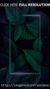 Fondos de Pantalla Neon para Celular