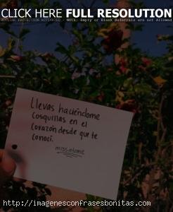 Notas de Amor Cortas Originales Con Frases Para Mi Pareja