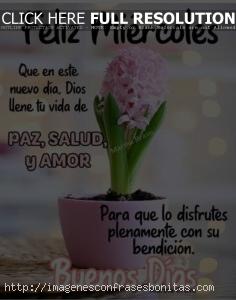 Tarjetas Buenos Días Feliz Miércoles