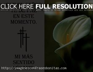 Tarjetas de Pésame y Condolencias Para un Ser Querido