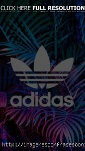 wallpapers-fondos-de-pantalla-adidas-originals-hd-4k-bonitos-android-iphone-34