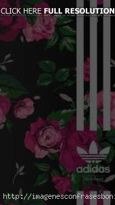 Wallpapers Fondos de Pantalla Para Chicas Cool y Tiernas