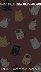 Wallpapers Fondos de Pantalla de Gatos Kawaii Tiernos HD